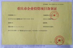 重庆市企业投资项目备案